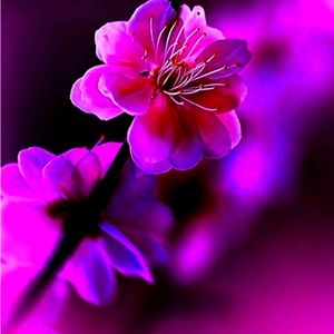 Meet your Posher, Yogita